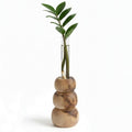 Classic Vase for Home Interior Decor